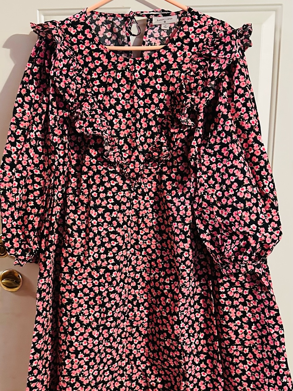 Sandy Liang Black Dress with Pink Floral Print and Ruffles